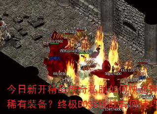 ¿Ʒ˽οȡϡװռBOSSսкμɣ