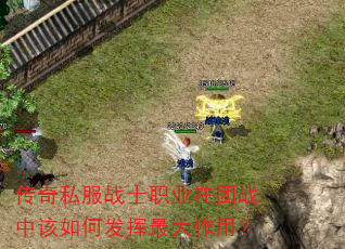 传奇私服战士职业在团战中该如何发挥最大作用? 传奇私服战士职业在团战中该如何发挥最大作用?
