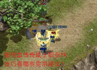 ѪսʿְҵPKЩʵý飿