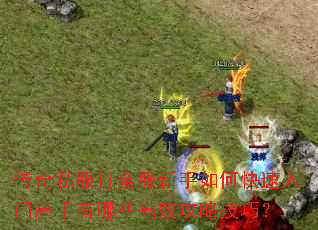 传奇私服打金服新手如何快速入门高手有哪些高效攻略技巧? 传奇私服打金服新手如何快速入门高手有哪些高效攻略技巧?